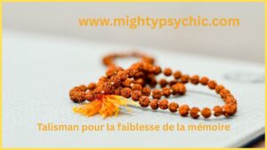 rudraksha, grains de rudraksha, mala 108 rudraksha, rudraksha bienfaits, protection spirituelle rudraksha, perles de meditation, énergie positive talisman, collier rudraksha, spiritualité hindoue, objets spirituels protection