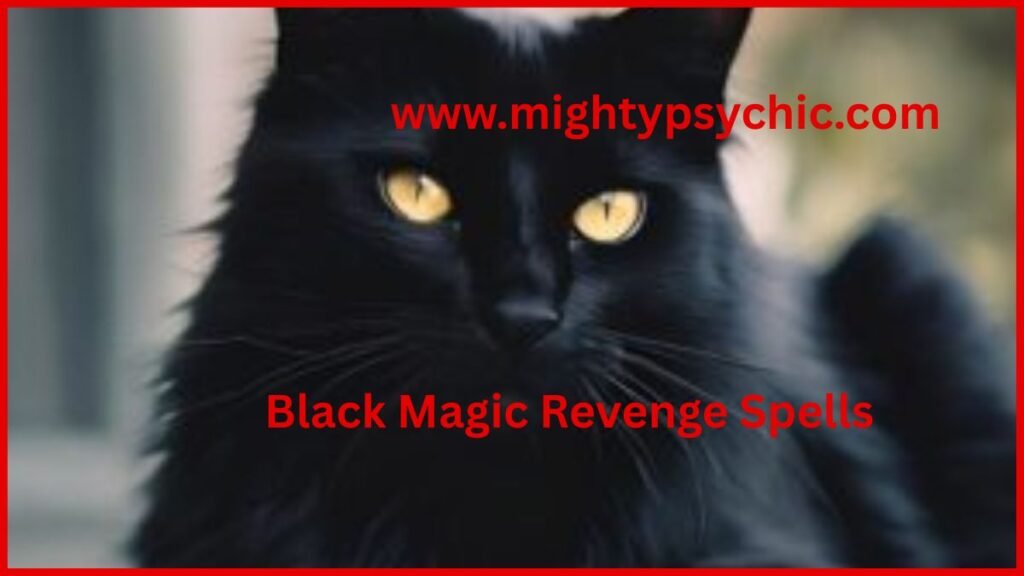 black magic protection spells, black magic revenge spells, black magic justice spells, black magic remove negative energy spells, black magic protection spell, remove negative energy spell, spiritual protection ritual, justice spell for enemies, energy cleansing spell, protection from enemies, spiritual defense spell, remove bad luck black magic