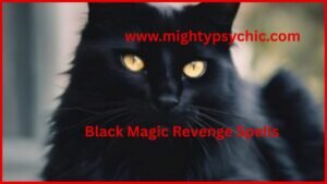 black magic protection spells, black magic revenge spells, black magic justice spells, black magic remove negative energy spells, black magic protection spell, remove negative energy spell, spiritual protection ritual, justice spell for enemies, energy cleansing spell, protection from enemies, spiritual defense spell, remove bad luck black magic