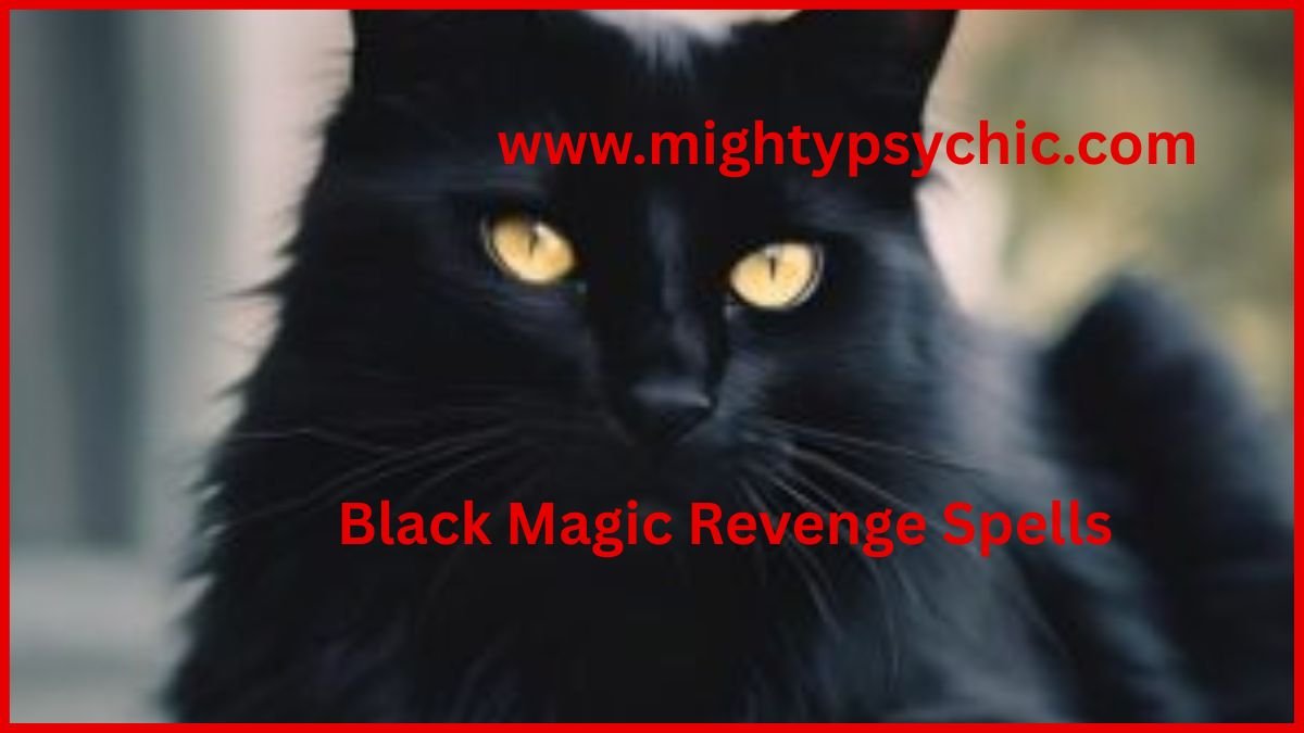black magic protection spells, black magic revenge spells, black magic justice spells, black magic remove negative energy spells, black magic protection spell, remove negative energy spell, spiritual protection ritual, justice spell for enemies, energy cleansing spell, protection from enemies, spiritual defense spell, remove bad luck black magic